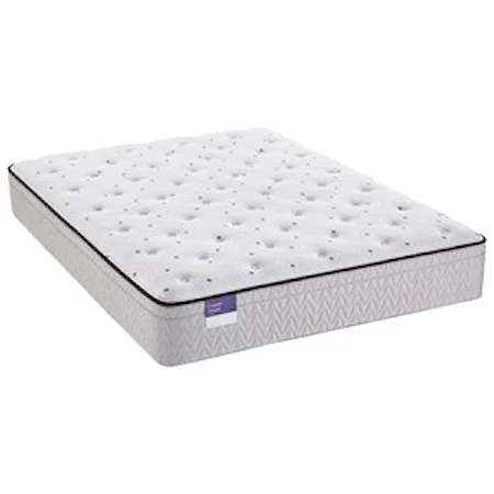 Queen 12" Euro Top Plush Mattress and 5" Low Profile SupportFlex™ Foundation